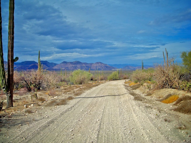MX Beautiful Baja